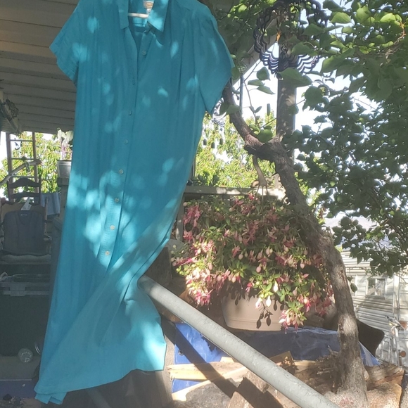 Dress - Picture 5 of 5